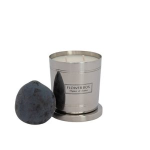 Blood Plum & Leather – 300g Candle