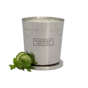 Fresh Lemongrass – 1000g Candle